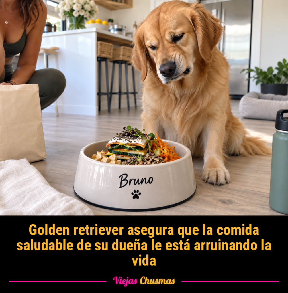 Golden retriever mirando con tristeza la comida saludable de su dueña